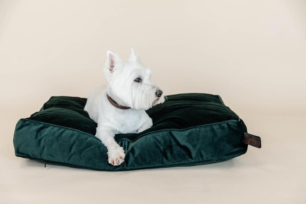 Hundekissen Velvet - Kentucky Dogwear