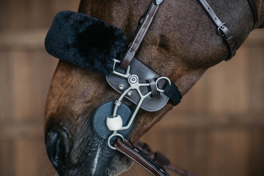 Hackamore Schutz