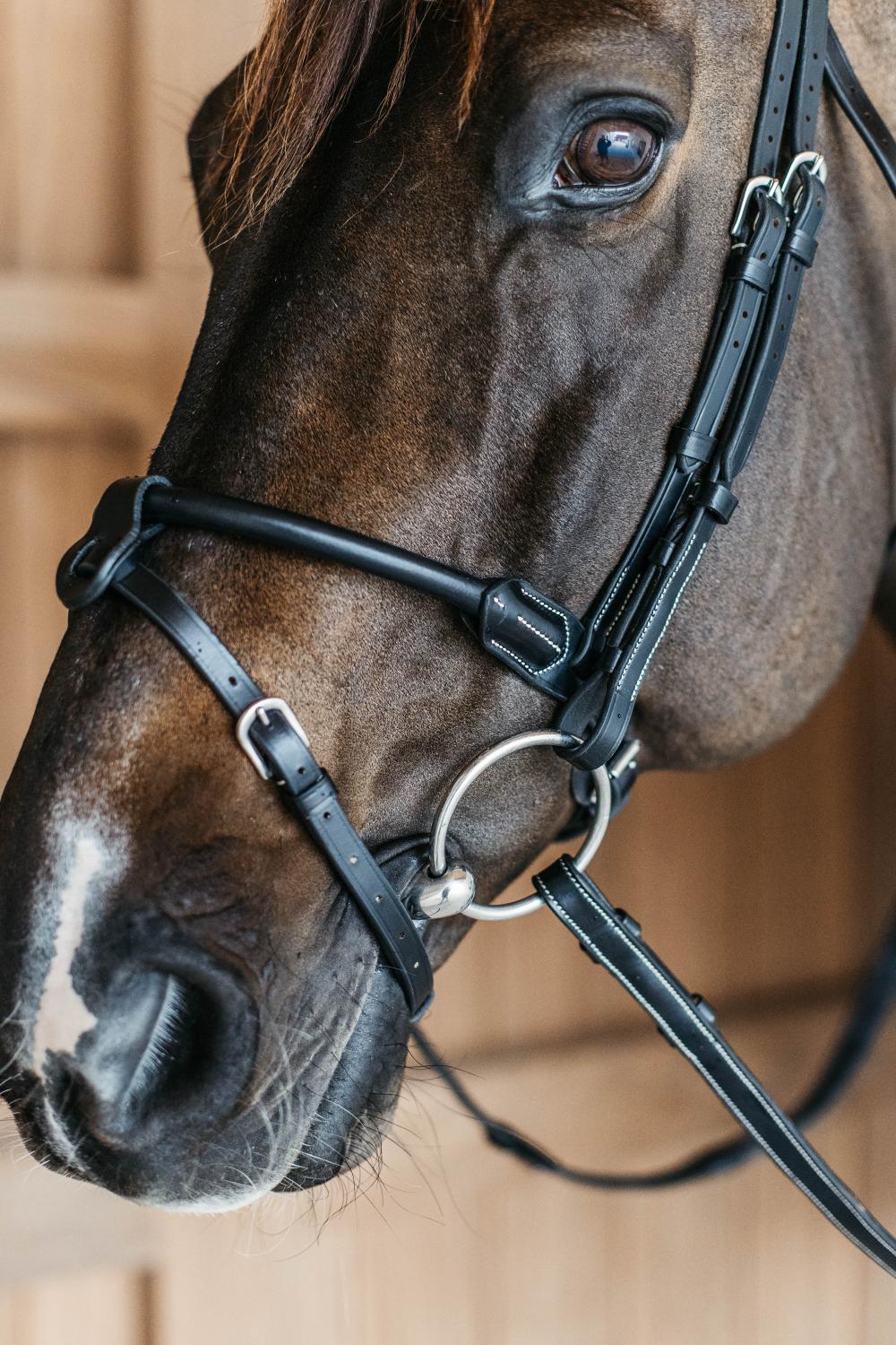 Trense mit runden Lederdetails