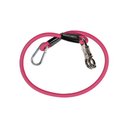 Horse Box Lead & Cross Ties Anbinder Silicone