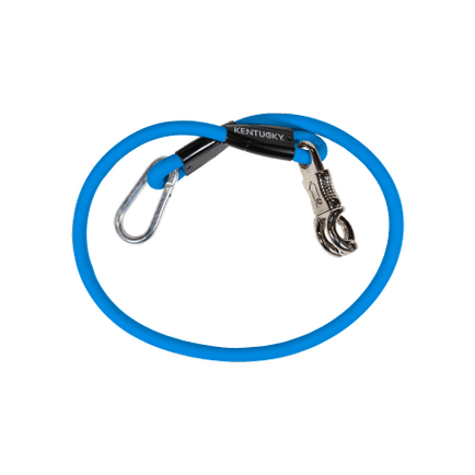 Horse Box Lead & Cross Ties Anbinder Silicone