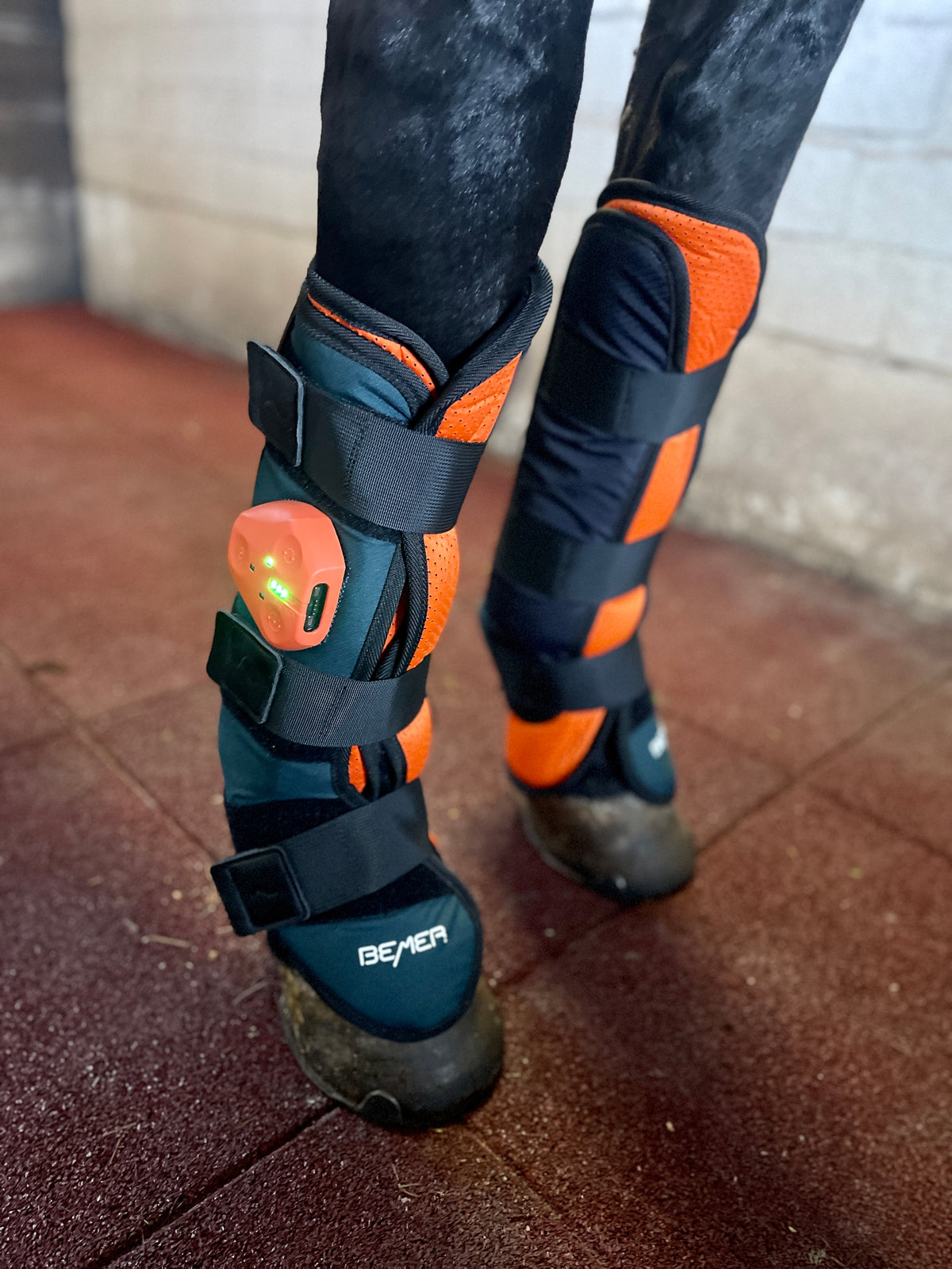 Bemer Horse Set mieten / leihen