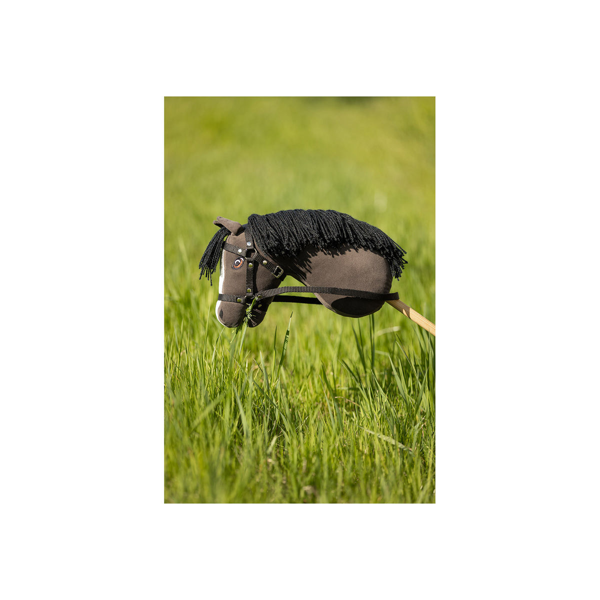 BR Mini Horse Hobby Horse