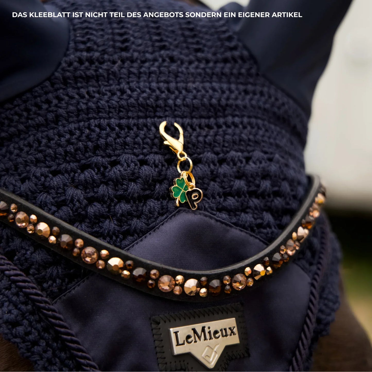 CARTOON BUCHSTABEN Charm - Glam & Gallop