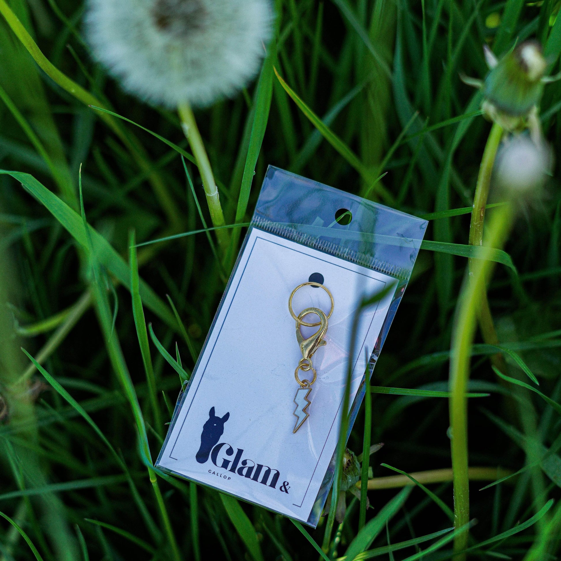 COLOR FLASH Charm - Glam & Gallop