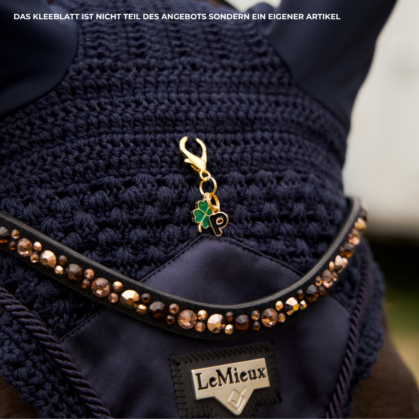 CARTOON BUCHSTABEN Charm