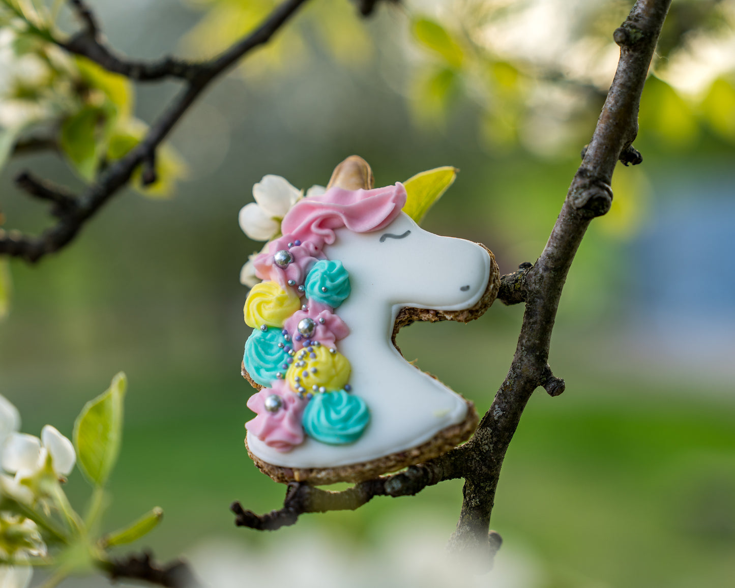 Unicorn Lebkuchen Leckerlie - Pony Bueno