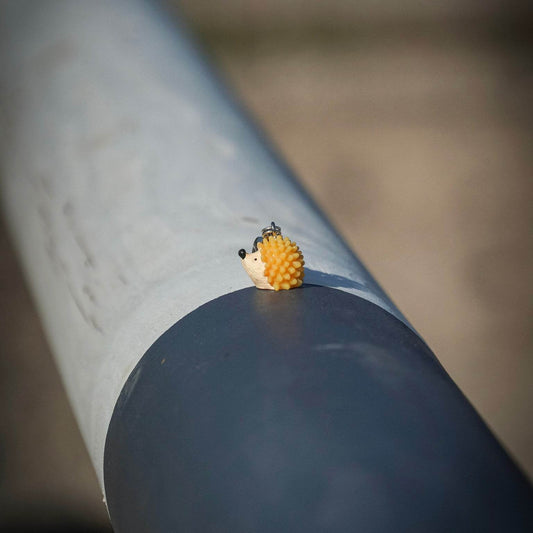 IGEL Charm - Glam & Gallop