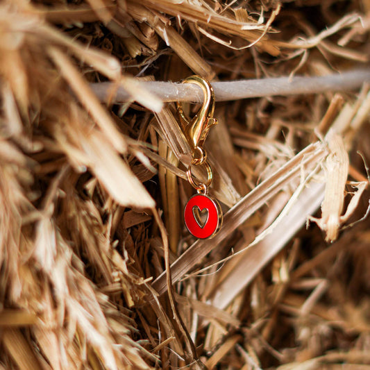 HEARTPIECE Charm