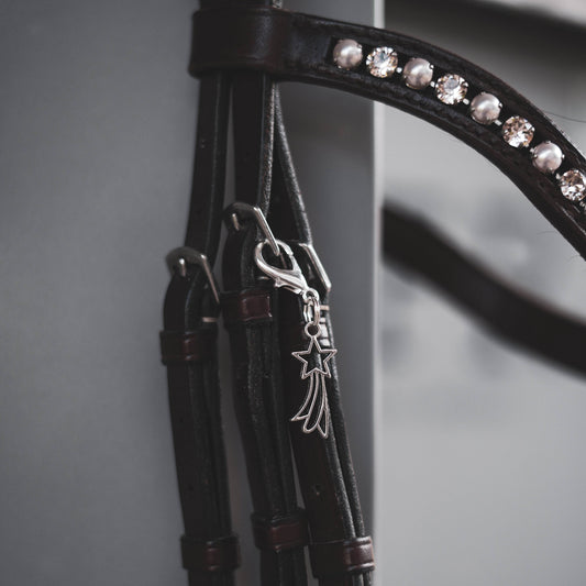 SHOOTING STAR Charm