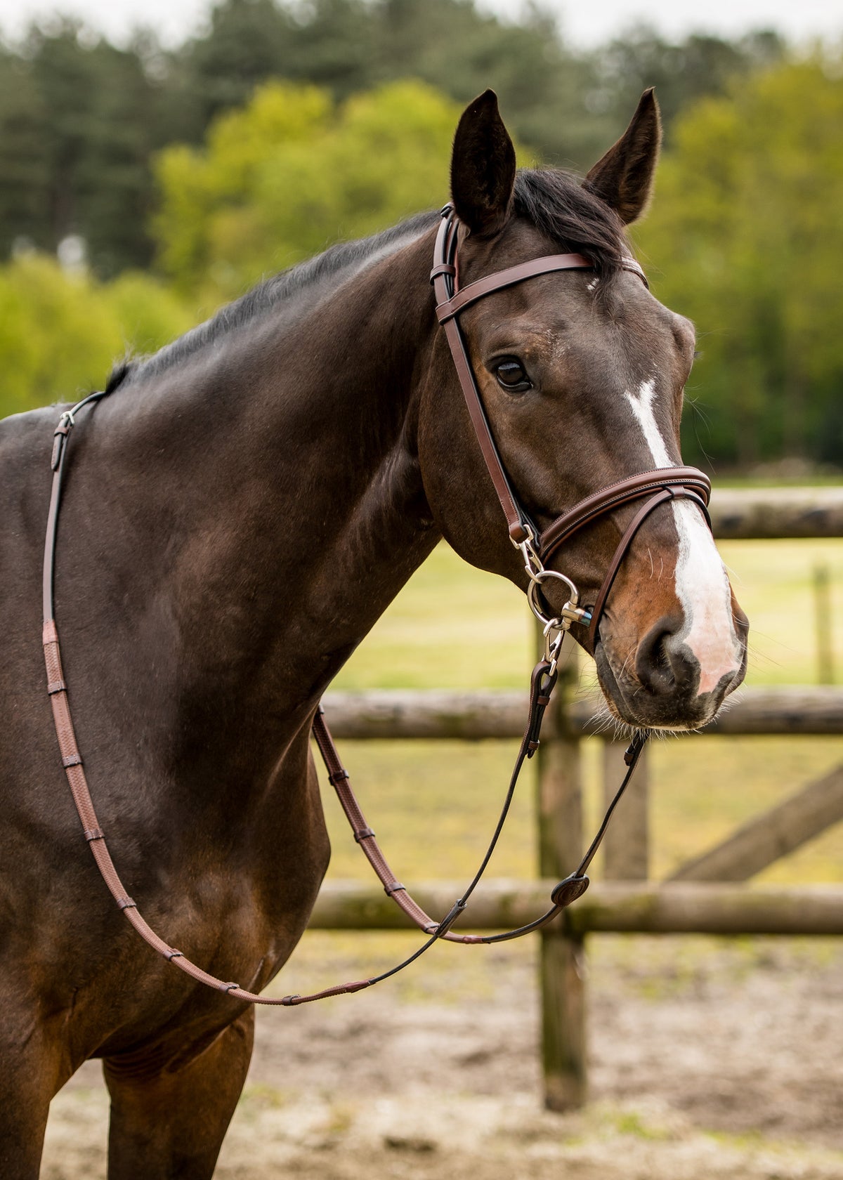 Trainings-Trense Hamburg