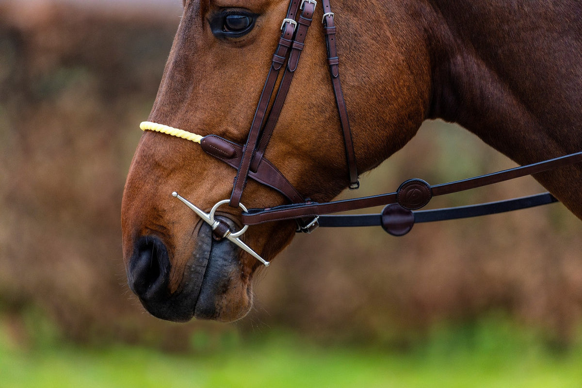 Trense St. Gallen mit Kordelreithalfter