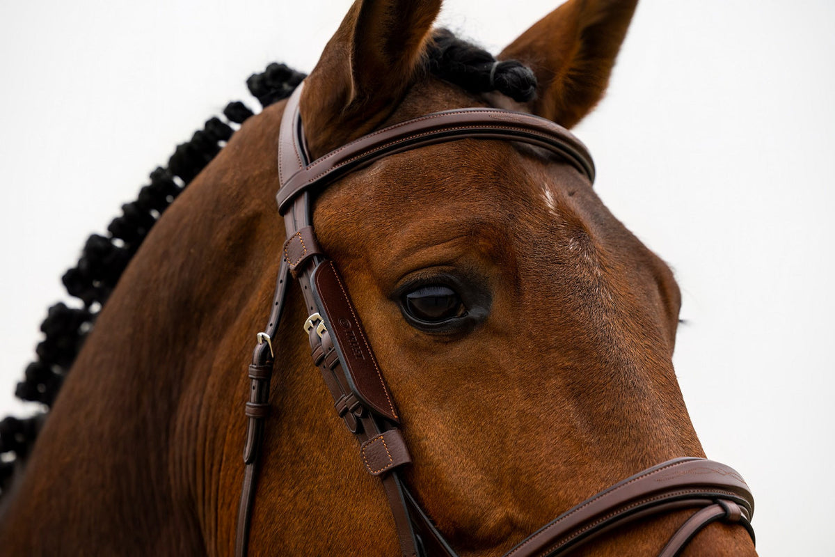 Blinkers