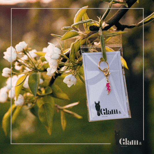 COLOR FLASH Charm - Glam & Gallop