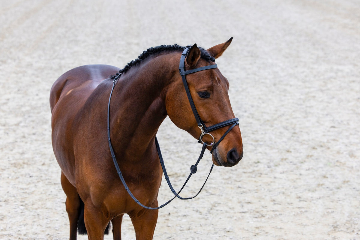 Trainings-Trense Hamburg