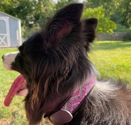 Hundehalsband Maasai Perlen (alle Designs)