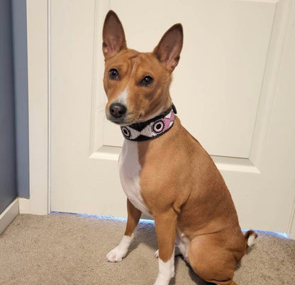 Hundehalsband Maasai Perlen (alle Designs)