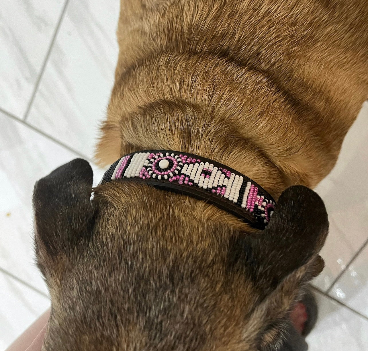 Hundehalsband Maasai Perlen (alle Designs)