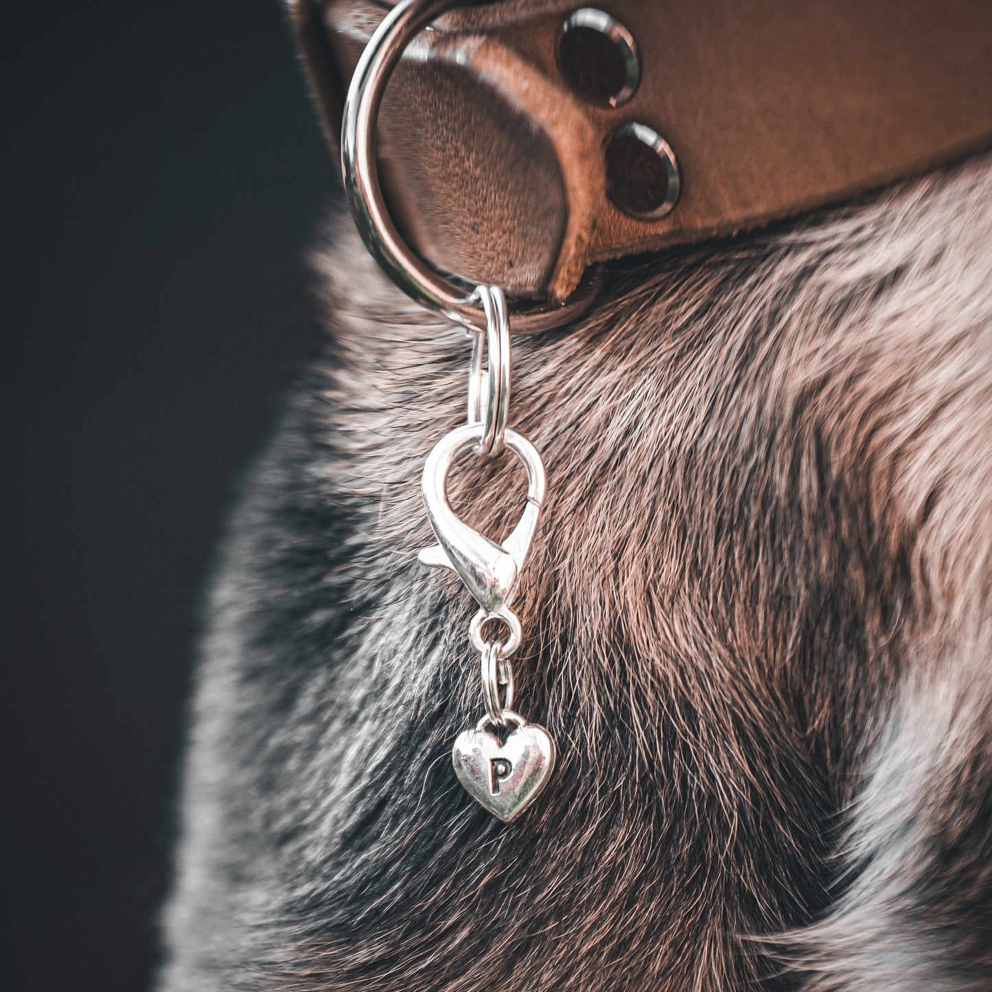 HEART BUCHSTABEN Charm