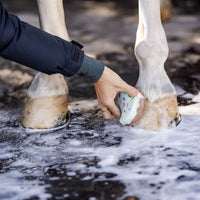 NICE THINGS FOR HORSE GIRLS