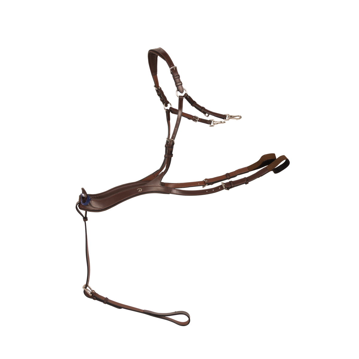 Anatomisches Vorderzeug