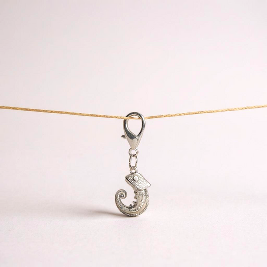 CHAMELEON Charm