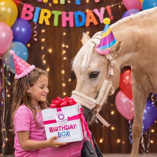 Geburtstags Box - Pony Bueno