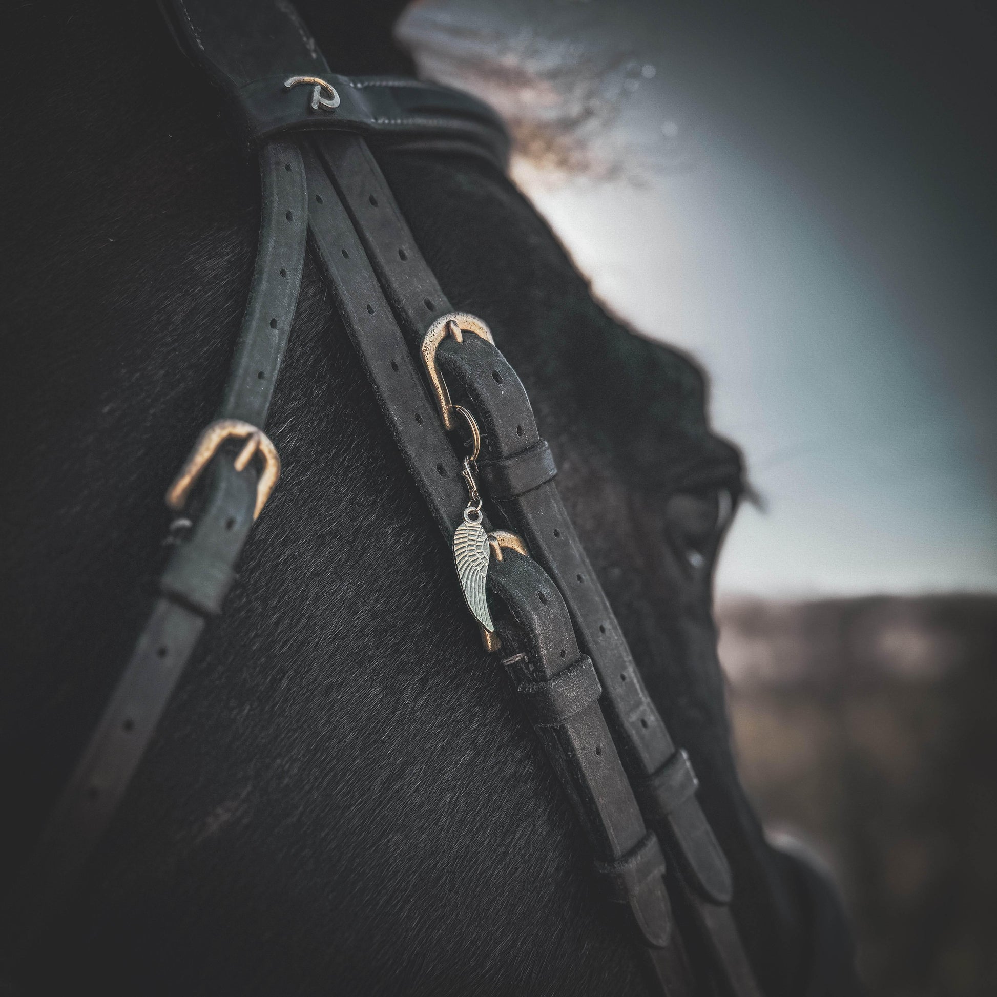 SCHUTZENGEL Charm - Glam & Gallop