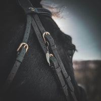ERINNERUNG AN SEELENPFERD
