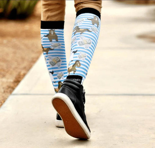 CASH MONEY Reitsocken Pair & a Spare - Glam & Gallop