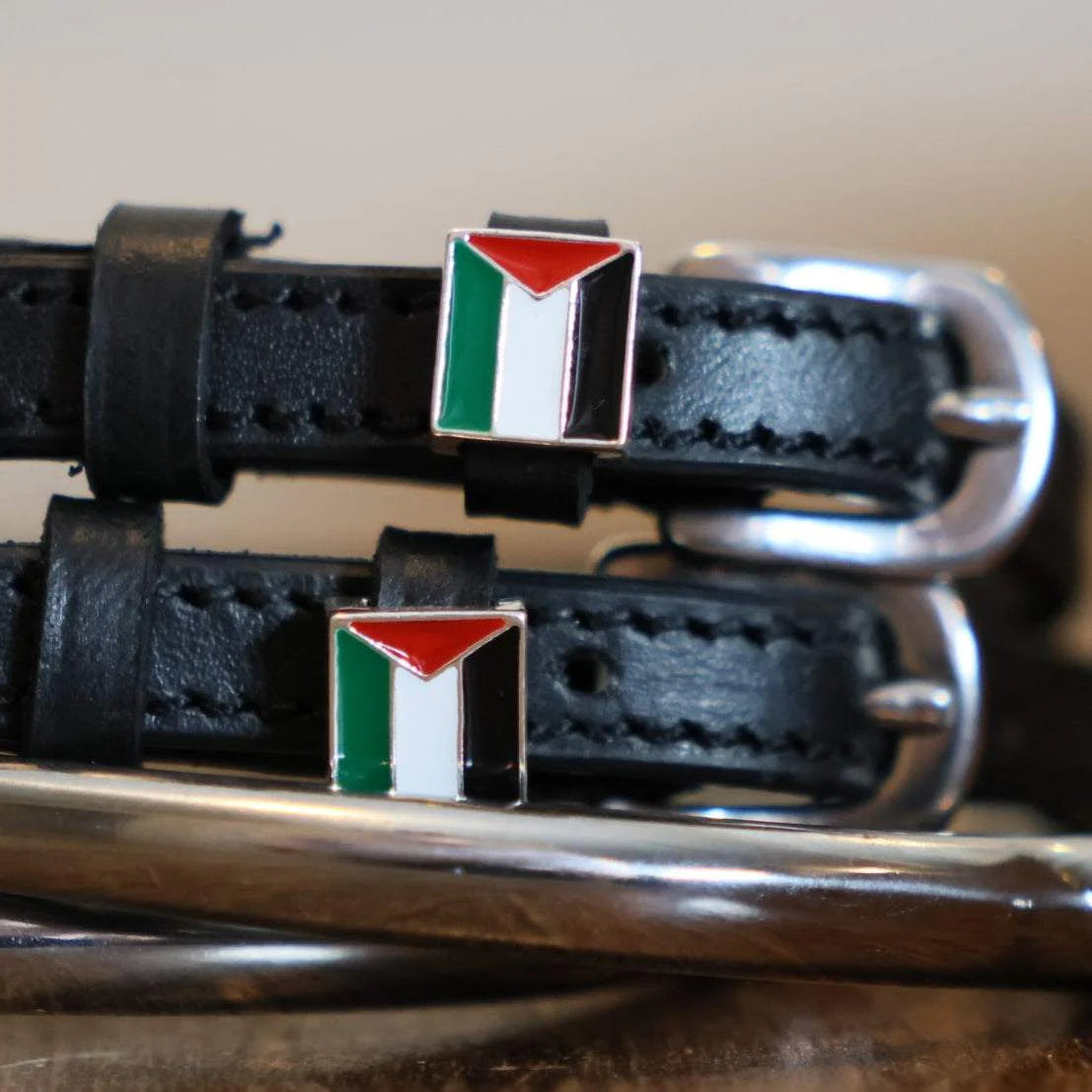 PALESTINE Sporenriemen