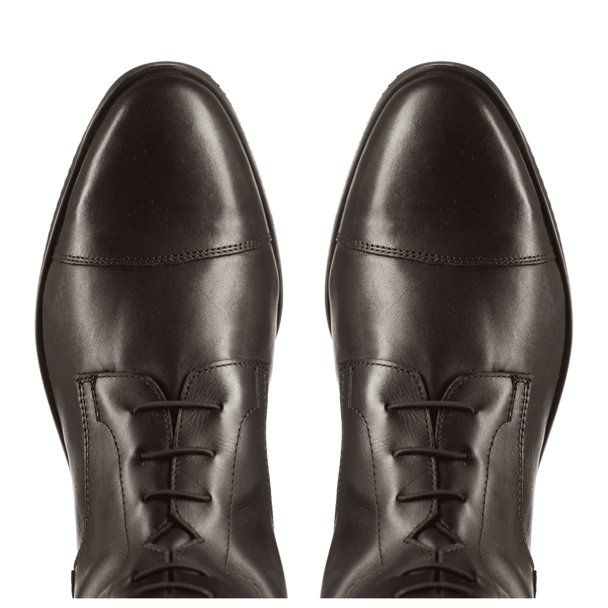 Reitstiefel Orion schwarz