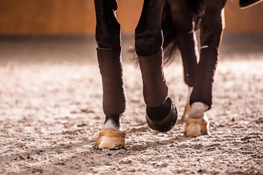 Thermo Clear Trainingsbandagen